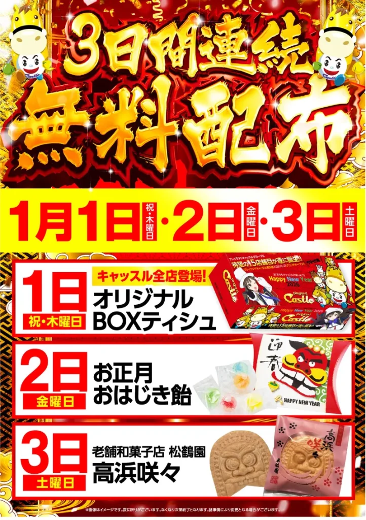 キャッスル高浜　入場抽選券 12/28 プレイランドキャッスル高浜 GRAND OPEN 入場抽選券 12/28